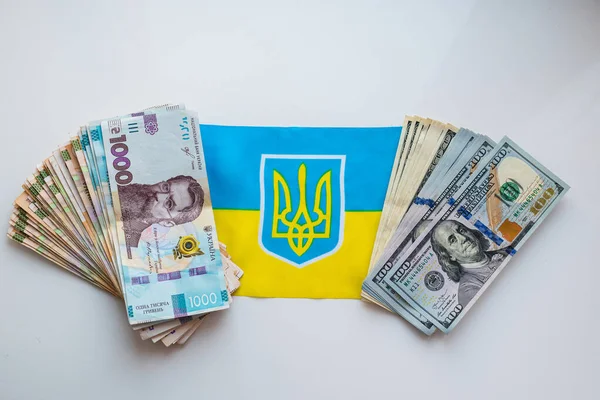 Ukrainian currency hryvnia and American dollar on the background of the Ukrainian flag. State assistance to citizens in connection with the war in Ukraine.