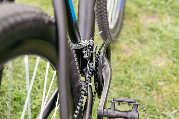 Bicycle gears, disc brake and rear derailleur. The switches are on the steering wheel