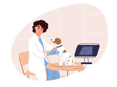 Bir köpeğe ultrason yapan veteriner.