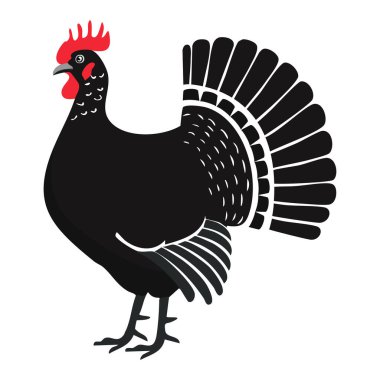 Bir horozun vektör çizimi