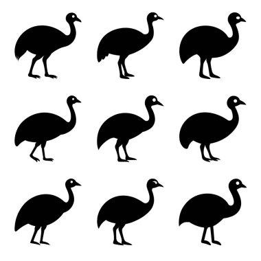 Bir dizi siyah kuş silueti, vektör