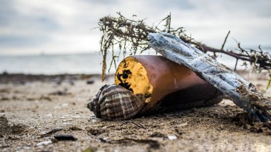 Plastik bir şişede kabuk ve bir adamın bıraktığı çöp.