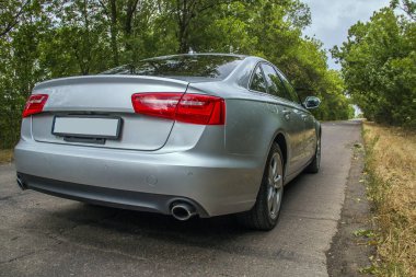 Bagajında iki kırmızı far olan gri bir araba yol boyunca ağaçların arasında duruyor.