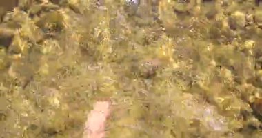 Erkek ayakları berrak suda yürür