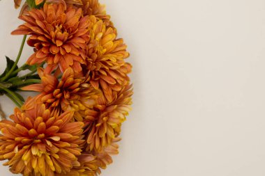 Beyaz arka planda güzel sarı çiçek