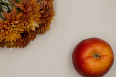 Beyaz arka planda güzel çiçekler