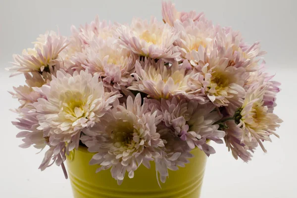Beau Bouquet Chrysanthèmes Dans Pot Blanc — Photo