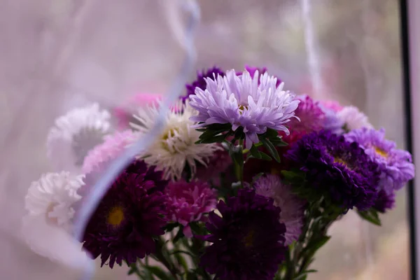 Flores Aster Púrpura Ventana — Foto de Stock