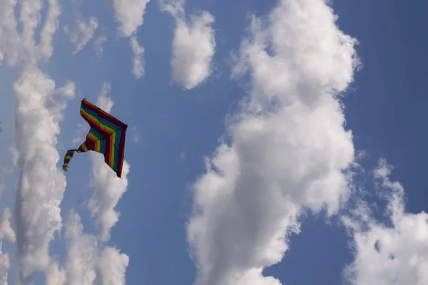 flying kite over blue sky background.