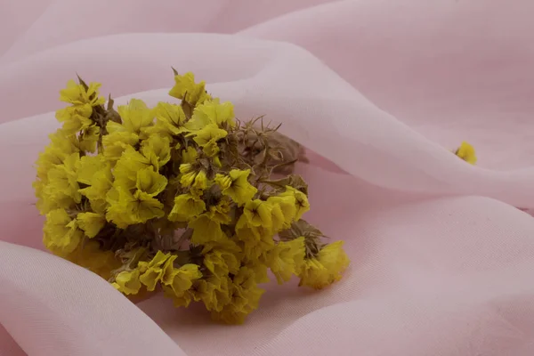 Flores Amarillas Sobre Fondo Rosa Delicado —  Fotos de Stock