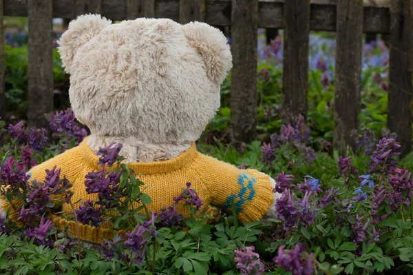 teddy bear in flowers, spring meadow and toy bear