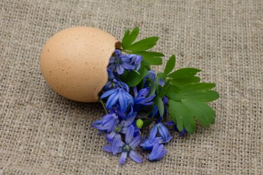 Paskalya yumurtası ve çiçekler