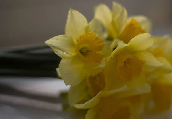Gele Narcissen Een Boeket Van Gele Bloemen — Stockfoto