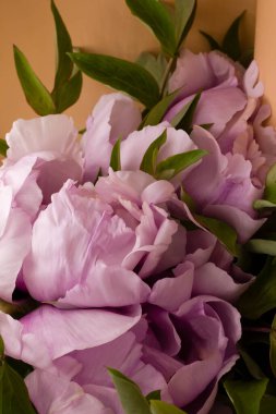 Turuncu arka planda pembe şakayıklar, masada pembe şakayıklar.