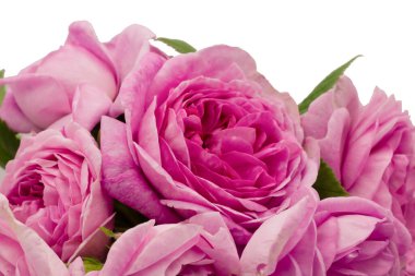 Masadaki pembe güller, pembe güller