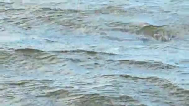 Zeewatergolven Aan Kust — Stockvideo