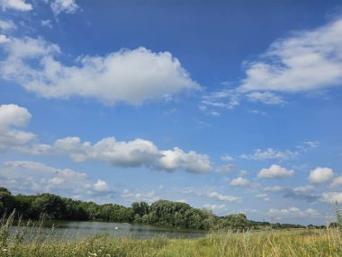 Arkasında bir göl olan güzel bir manzara.