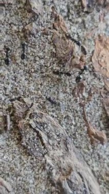 Taşın dokusu ve bir sürü farklı şekil..