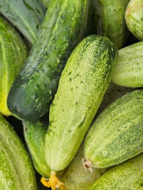 Piyasada taze salatalıklar