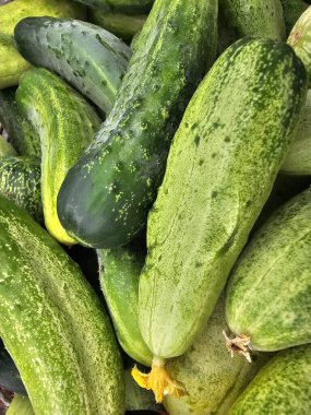 Kabak içinde belgili tanımlık çarşı