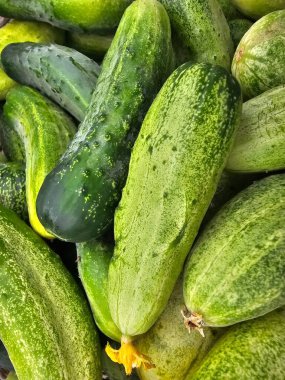 Pazarda satılık taze kabak.