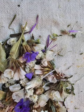 Beyaz arka planda kurumuş çiçekler