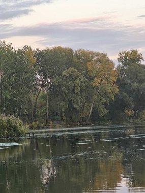 Arkasında bir göl olan güzel bir manzara.