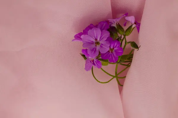 pembe bir arka plan üzerine güzel çiçekler