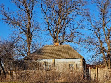 Kuru otlu terk edilmiş ahşap bir ev.