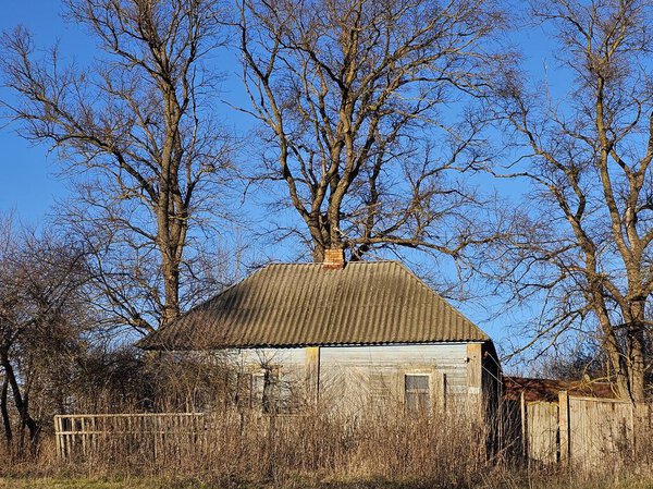 wooden house in a village