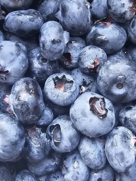 Tahta sepetteki taze yabanmersini.
