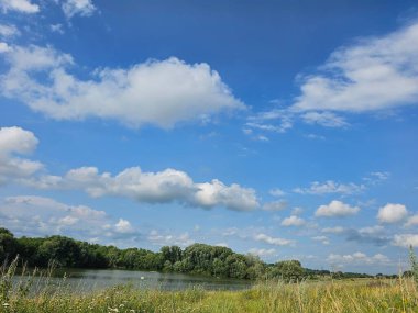 Parktaki gölün güzel manzarası