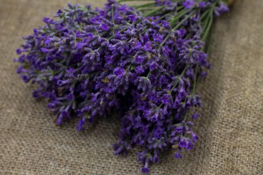 Ahşap arka planda lavanta buketi, yakın plan.