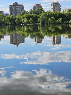Parktaki suyun yüzeyindeki ağaçların yansıması.