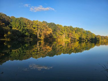 Ağaçlar ve ormanlarla dolu güzel bir manzara.