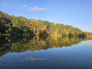 Ormandaki gölün güzel manzarası