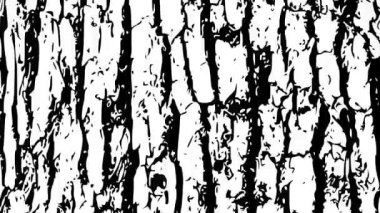 Ağaç Gövdesi Doku Kaplaması Canlandırması