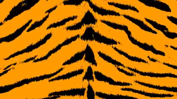 这是一个以橙色和黑色为背景的老虎皮肤图案的动态动画视频 — 图库视频影像