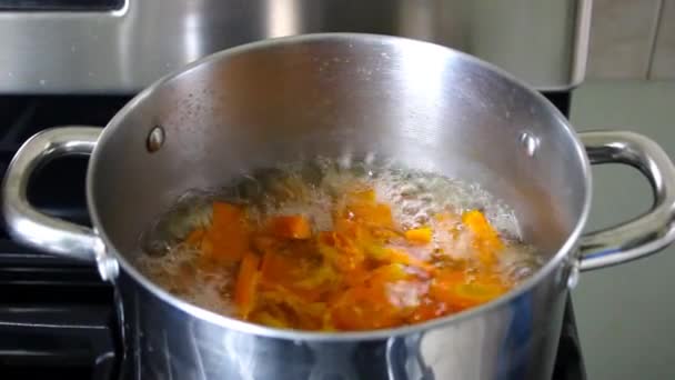ストーブの鍋沸騰水で野菜を調理する — ストック動画