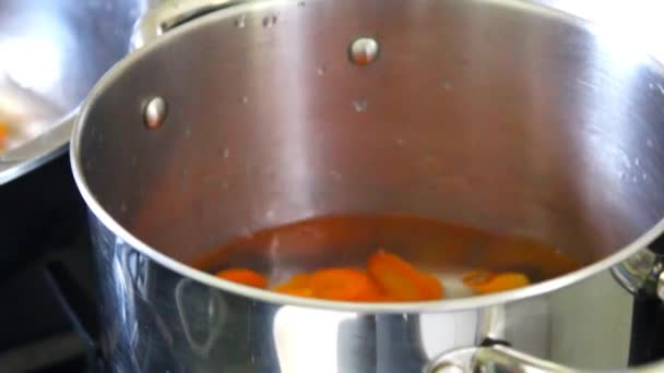 Hand Legt Geschnittene Karottenscheiben Kochtopf Auf Herd — Stockvideo
