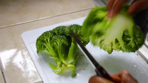 Hände Schneiden Frisches Grünes Brokkoli Gemüse Mit Messer — Stockvideo