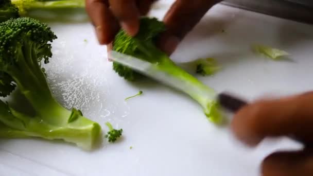 신선한 브로콜리 야채를 자르는 — 비디오