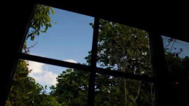 Bu, mavi gökyüzünde hareket eden beyaz bulutlar ve yeşil ağaç dalları olan bir ev penceresinin hızlandırılmış videosu.. 