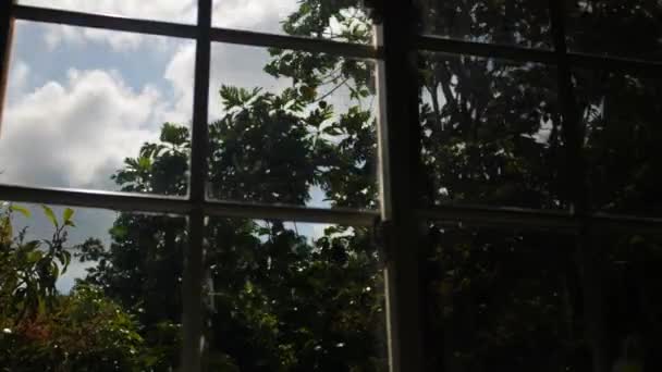 Mavi Gökyüzünde Hareket Eden Bulutların Penceresinden Geçen Ağaçların Hızlandırılmış Videosu — Stok video