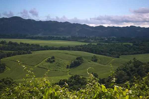 Bu yeşil bir tarımın yeşil ağaçlar ve sıradağlarla doldurulmuş bir görüntüsü. 