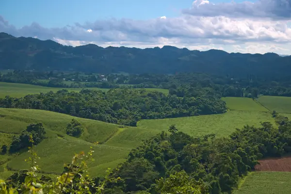 Bu yeşil bir tarımın yeşil ağaçlar ve sıradağlarla doldurulmuş bir görüntüsü.  