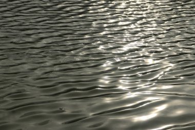 Rüzgardan dolayı balık havuzunda su dalgaları var. Su arkaplanı dokusu 