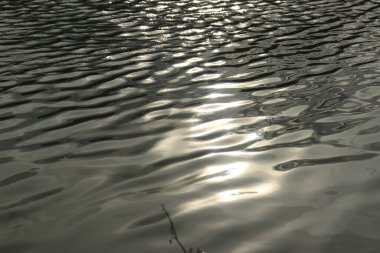 Rüzgardan dolayı balık havuzunda su dalgaları var. Su arkaplanı dokusu 