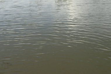 Rüzgardan dolayı balık havuzunda su dalgaları var. Su arkaplanı dokusu 