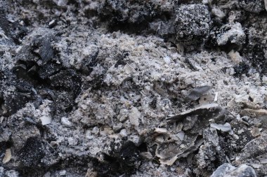 Yanan odun külleri ve kömürün arka planı